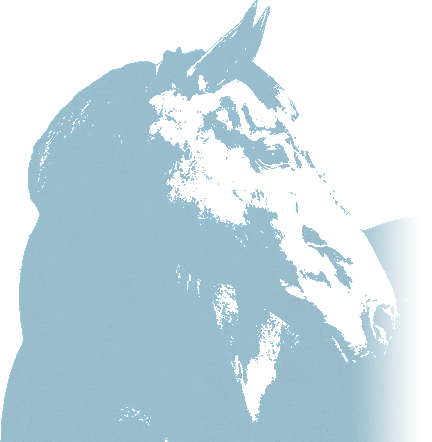 blue_horse