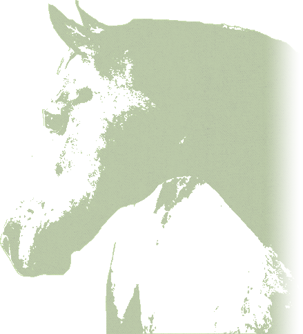 green_horse