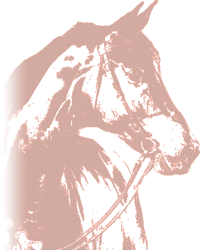 red_horse